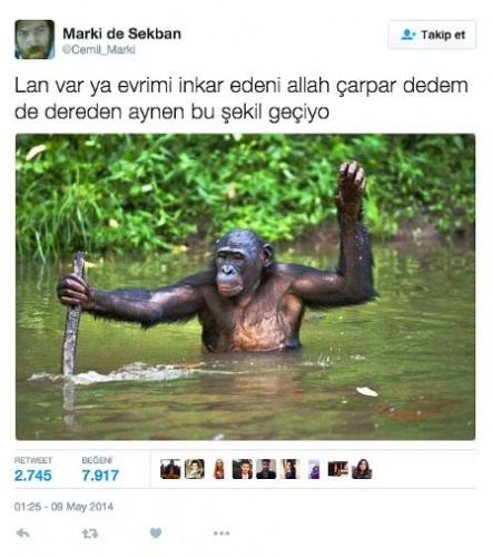 Gelmiş Geçmiş En Komik Tweetler