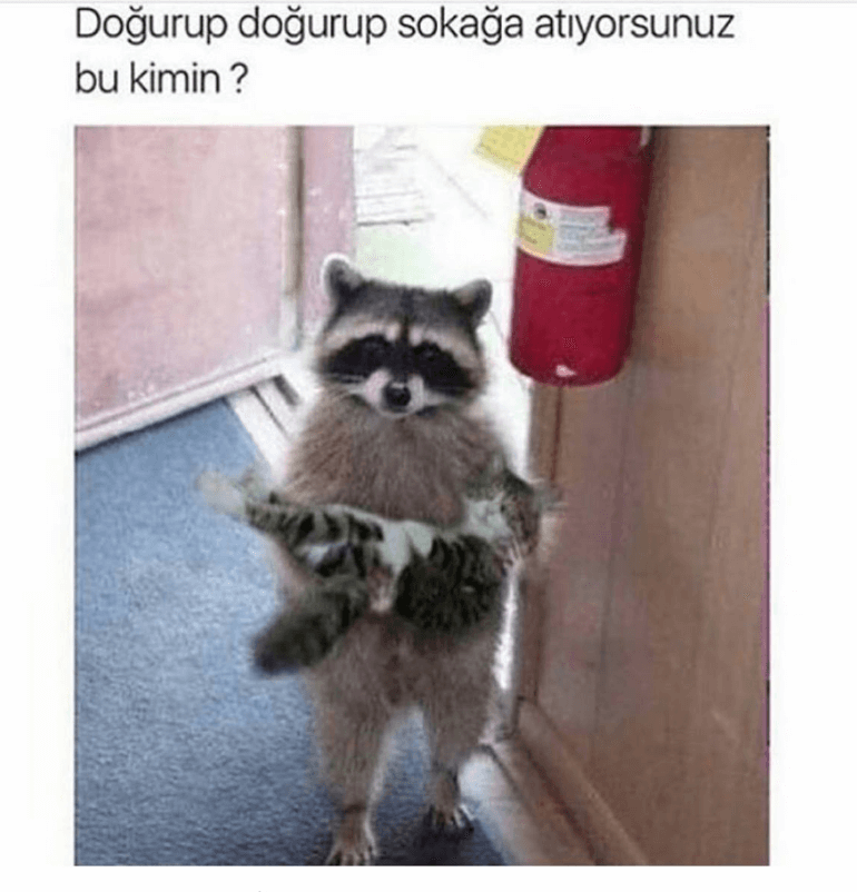 Haftanın Komik Capsleri -1-