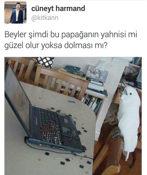 EN KOMİK CAPS'LER BİR ARADA