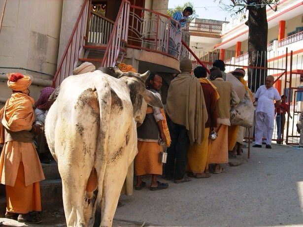 Bu fotoğraflardan sonra Hindistan'a gitmek istemeyeceksiniz