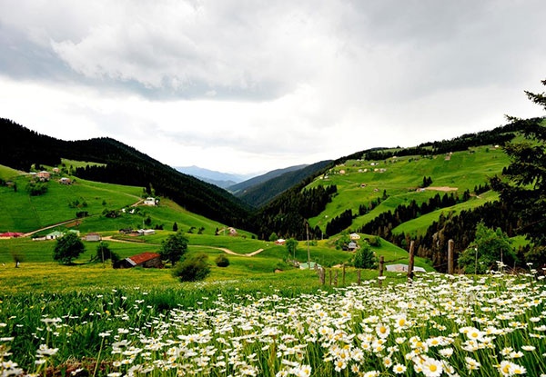 İşte Muhteşem Karadeniz Yayları