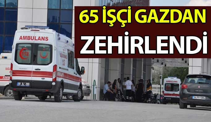 65 İşçi Gazdan Zehirlendi