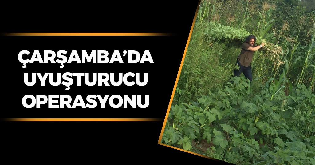 Çarşamba'da Uyuşturucu Operasyonu