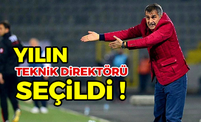 Güneş 'Yılın Teknik Direktörü Seçildi'