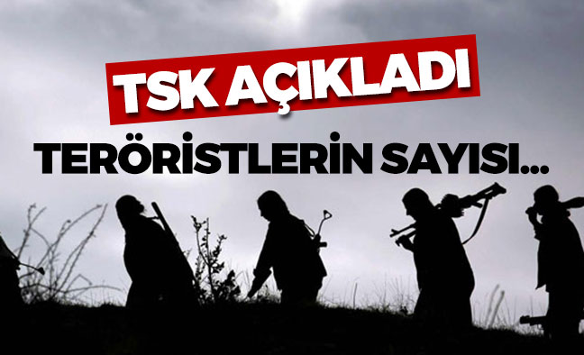 Öldürülen Teröristlerin Sayısı Açıklandı !