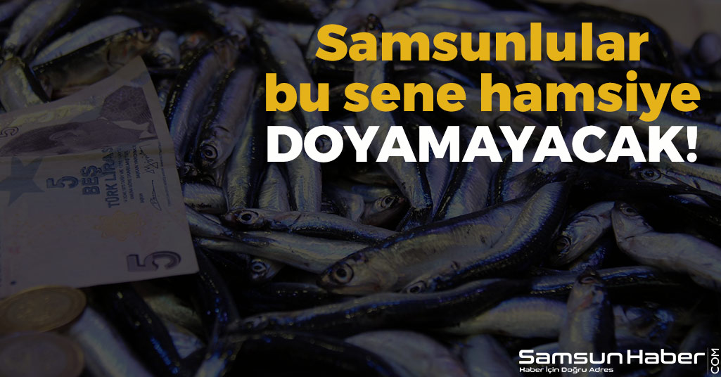 Samsunlular Bu Sene Hamsiye Doyamayacak!