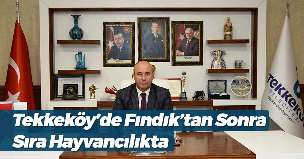 Tekkeköy’de Fındıktan Sonra Sıra Hayvancılıkta