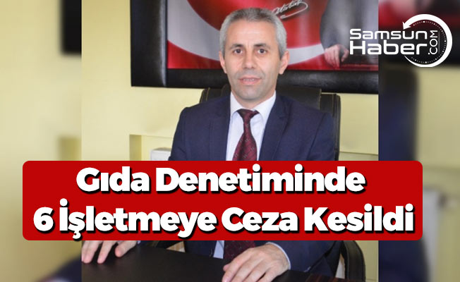 Fatsa'da 6 İşletmeye Ceza Yağdı