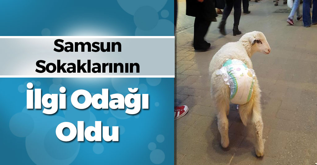 Samsun Sokaklarının İlgi Odağı Oldu