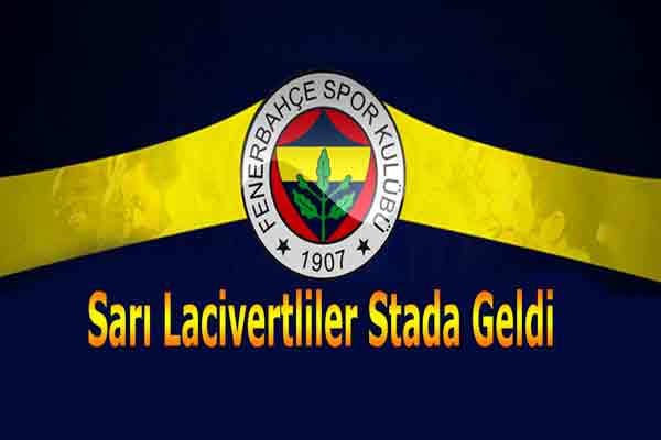 Sarı Lacivertliler Stada Geldi