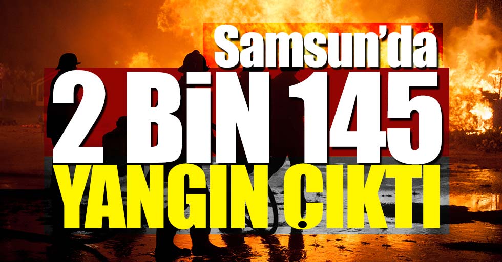 Samsun'da 2 bin 145 yangın çıktı