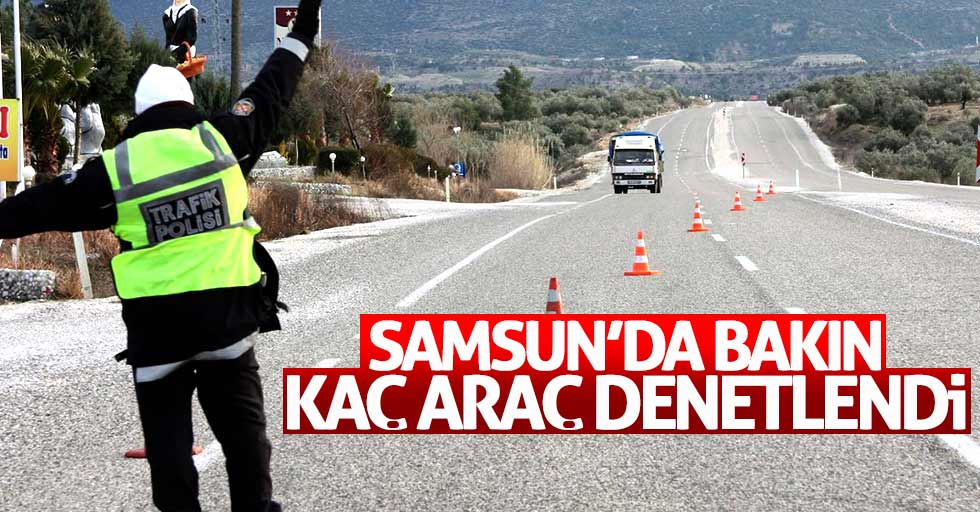 Samsun'da 342 bin 707 araç denetimden geçti