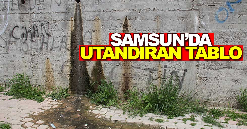 Samsun’da utandıran tablo