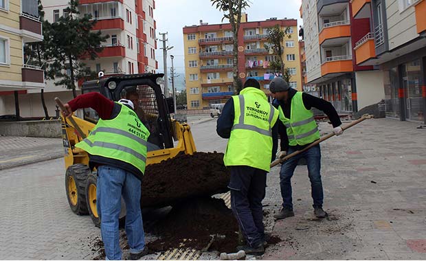 Tekkeköy yeşille bütünleşiyor