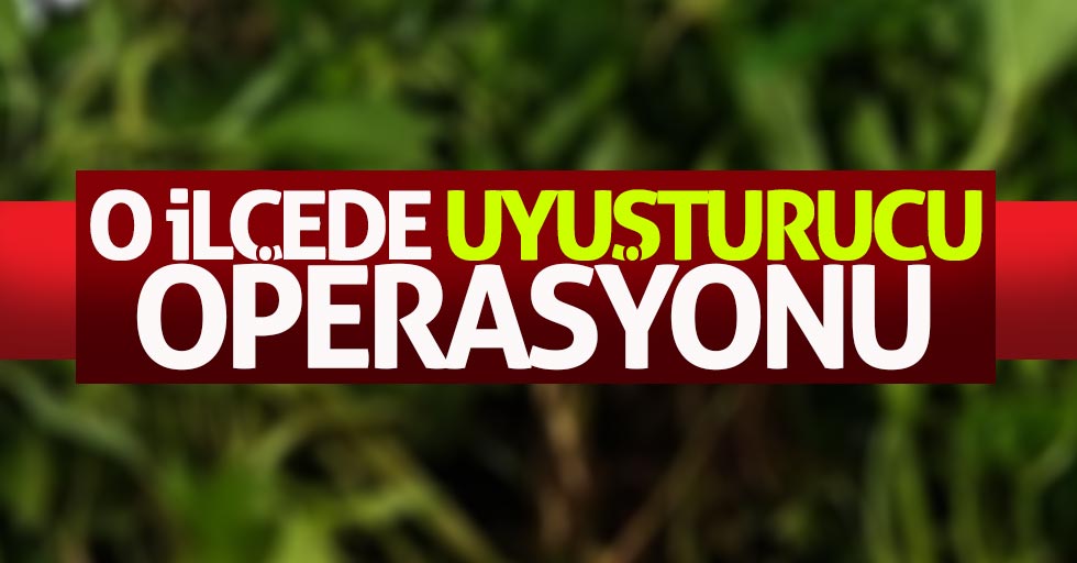 Samsun'da uyuşturucu operasyonu