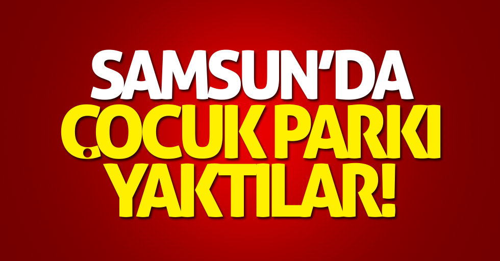 Samsun'da çocuk parkını yaktılar!