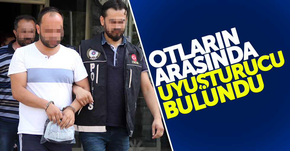 Samsun'da otların arasında uyuşturucu saklamaya gözaltı