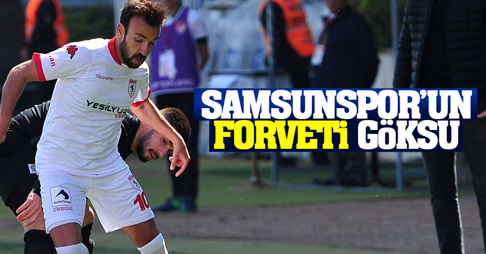 Samsunspor'un forveti Göksu