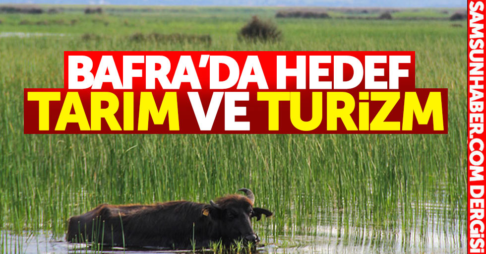 Bafra'da hedef: Tarım ve turizm