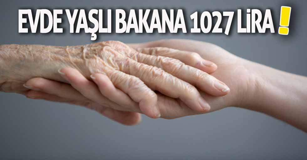 Evde yaşlı bakana 1027 lira!