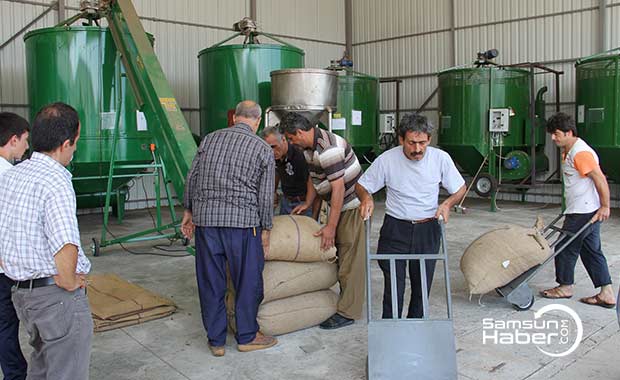 Fındık kurutma makinelerine talep arttı