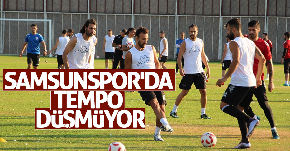 Samsunspor'da tempo düşmüyor