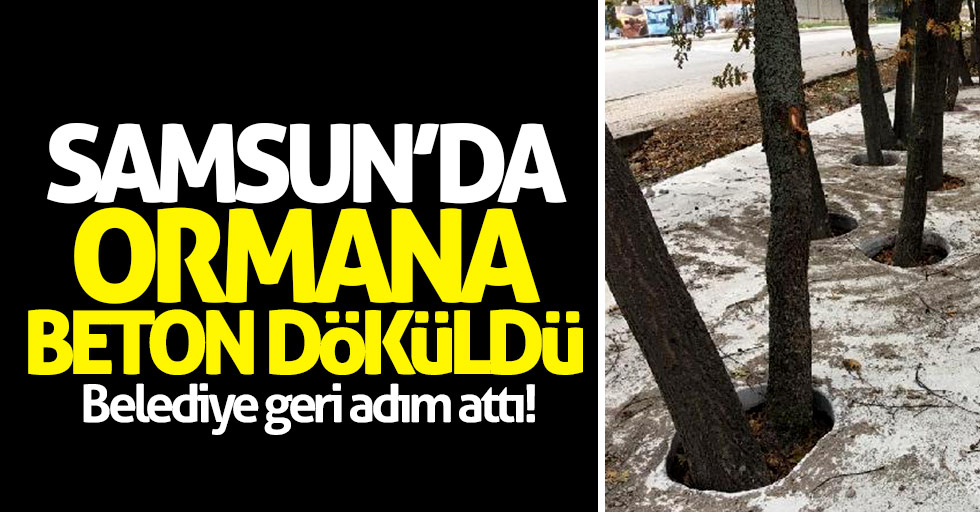 Samsun'da ormanlık alana beton döküldü!