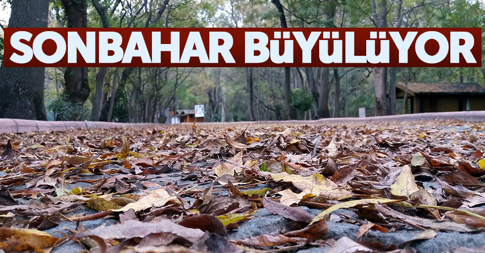 Samsun'da sonbahar büyülüyor