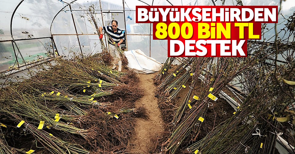 Samsun’da tarıma 800 bin TL destek