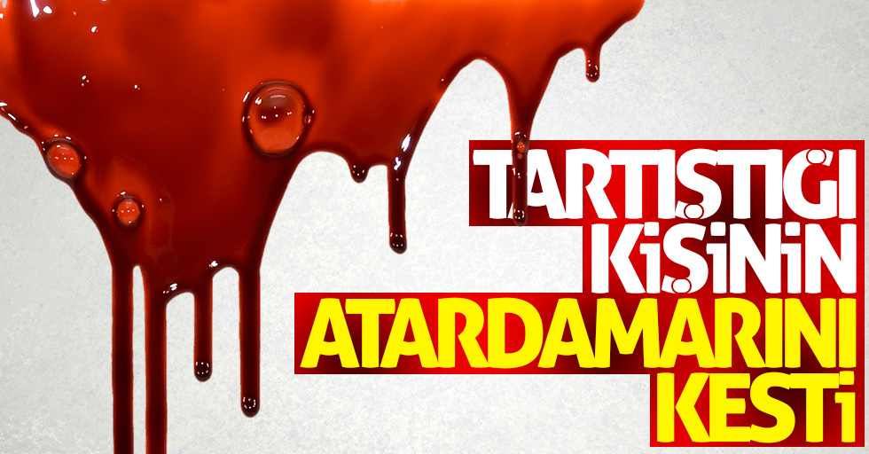 Tartıştığı kişinin atardamarını kesti