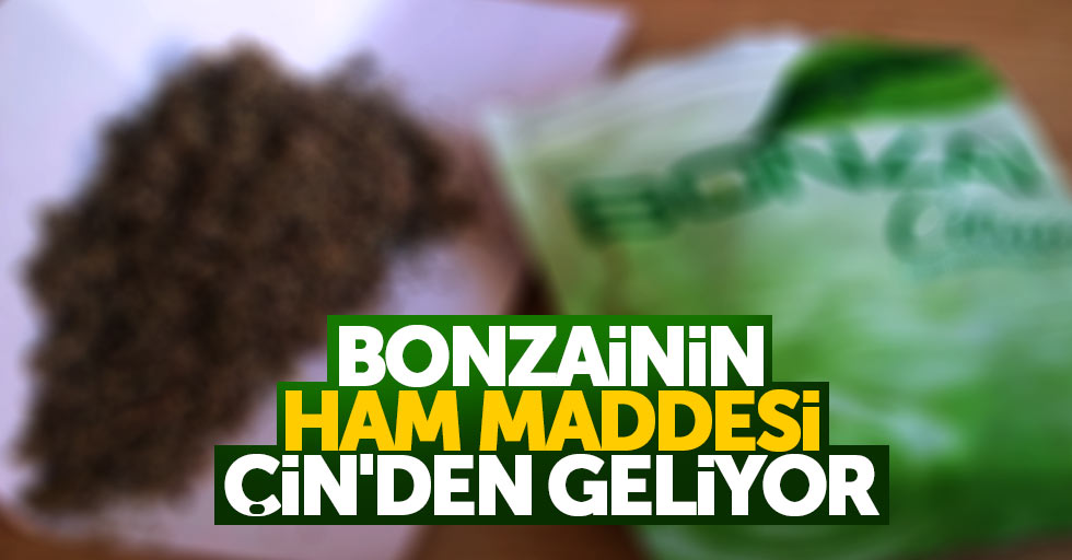 Bonzainin ham maddesi Çin’den geliyor