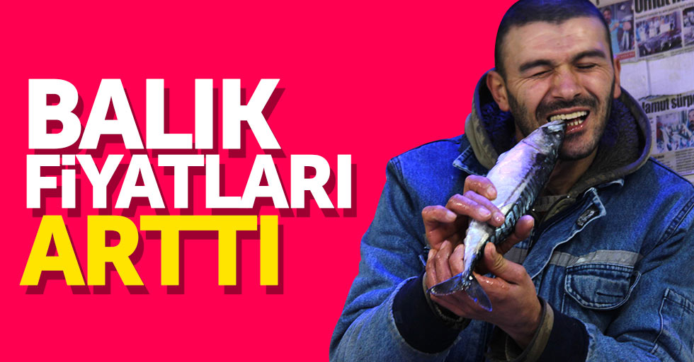 Samsun'da balık fiyatları arttı