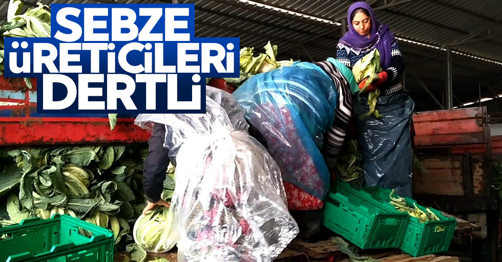 Samsun'daki sebze üreticileri dertli