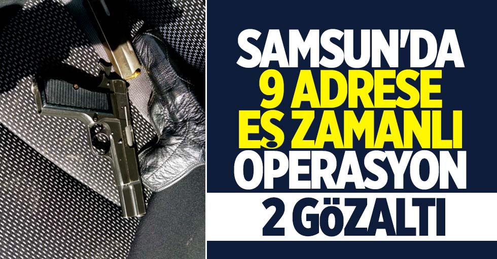 Samsun'da eş zamanlı operasyon, 2 gözaltı