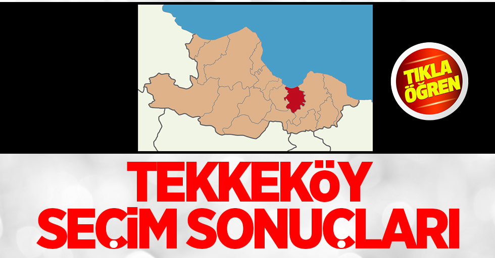 Samsun Tekkeköy seçim sonuçları