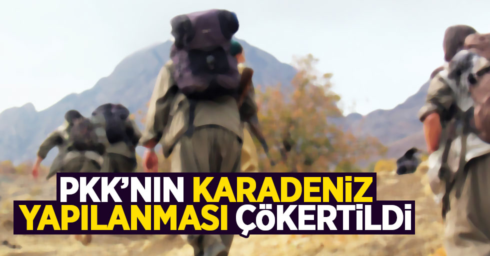 PKK'nın Karadeniz yapılanması çökertildi