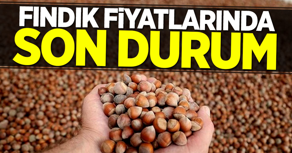 Fındık fiyatlarında son durum! 2 Mayıs Perşembe