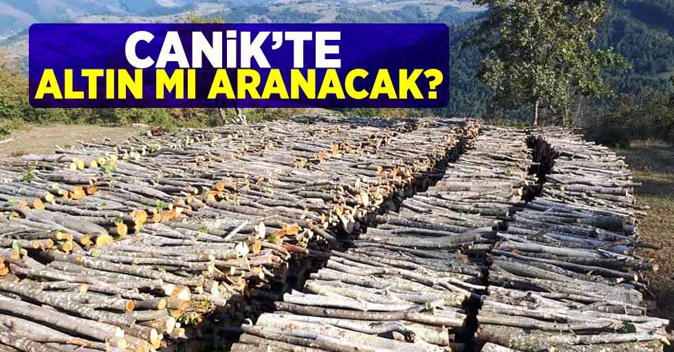 Canik'te altın mı aranacak ?