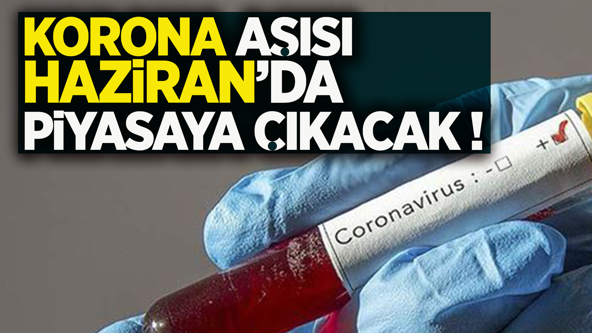 Korona aşısı Haziran'da piyasaya çıkacak