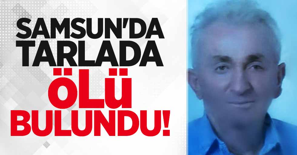 Samsun'da tarlada ölü bulundu!