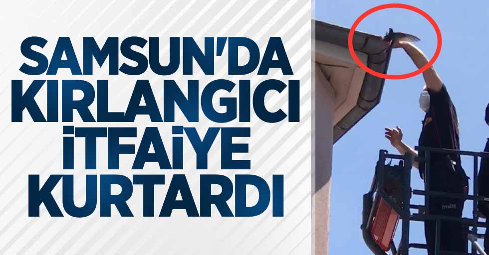 Samsun'da kırlangıcı itfaiye kurtardı