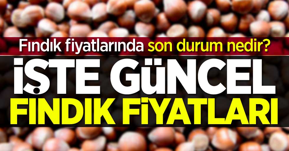 2 Ağustos Pazar güncel fındık fiyatları