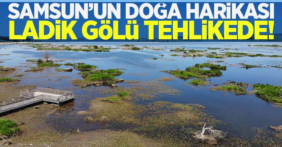 Samsun'un doğa harikası Ladik Gölü tehlikede