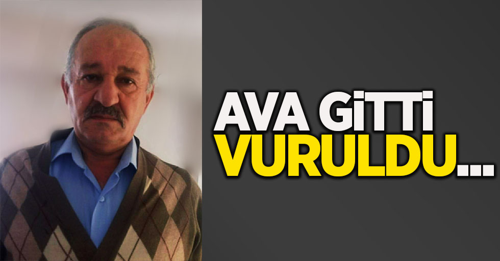 Ava gitti vuruldu