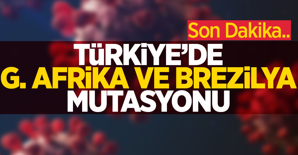 Türkiye'de G. Afrika ve Brezilya  mutasyonu