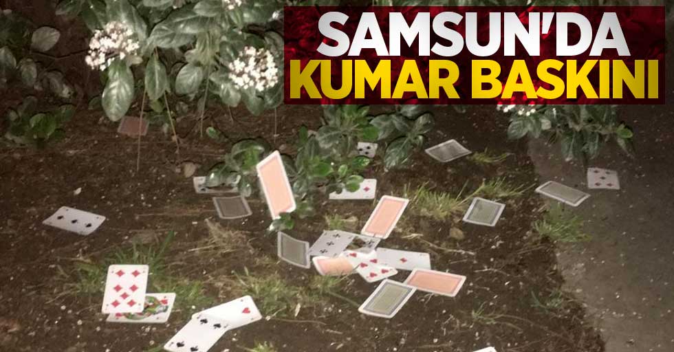 Samsun'da kumar baskını