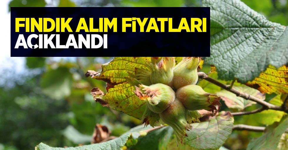 2021 Fındık alım fiyatları açıklandı...