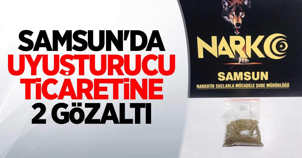 Samsun'da uyuşturucu ticaretine 2 gözaltı