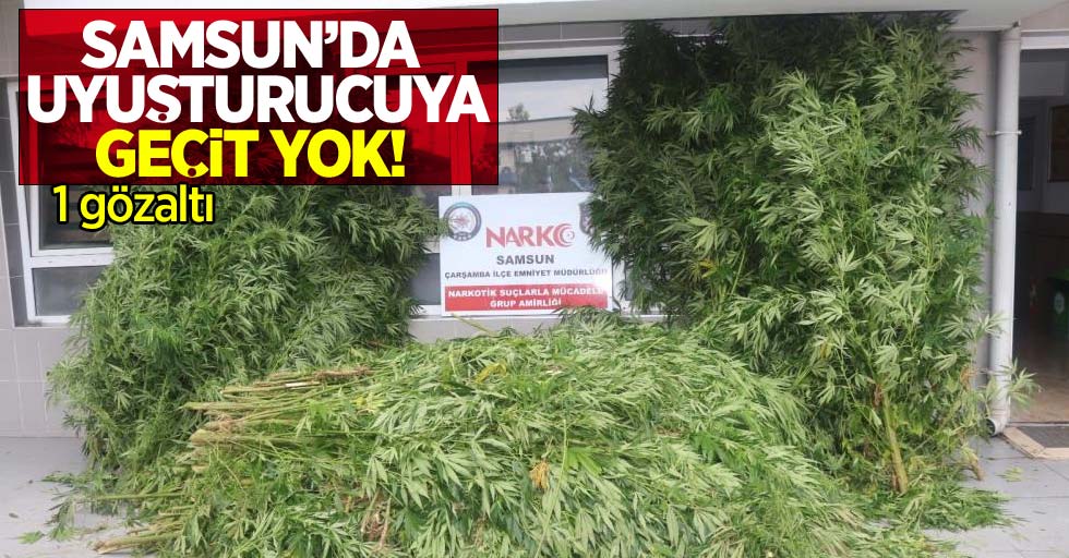 Samsun'da uyuşturucuya geçit yok: 1 gözaltı