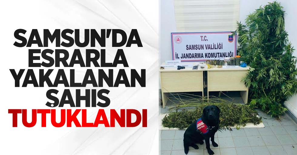 Samsun'da esrarla yakalanan şahıs tutuklandı